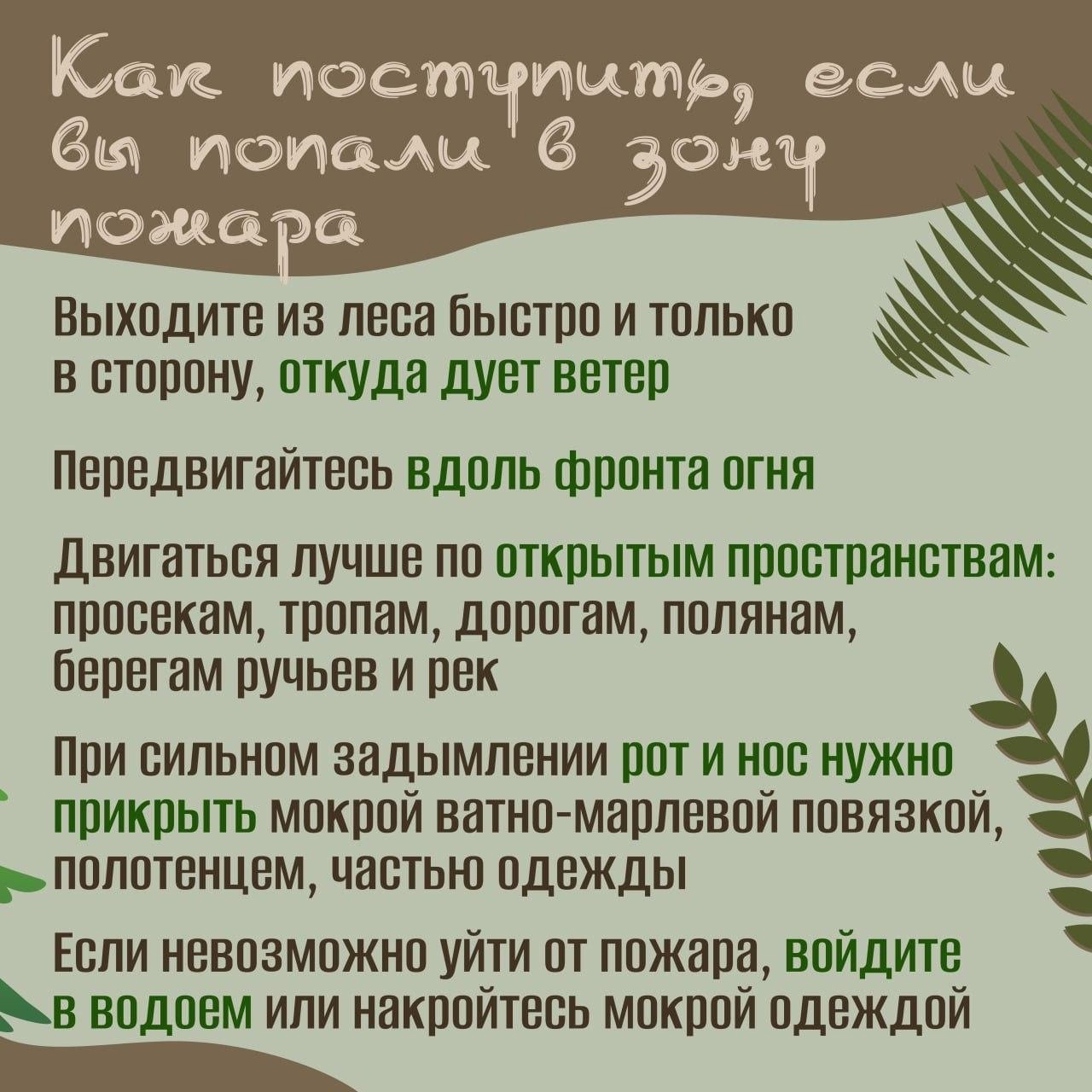 На фото рассказано, как поступить если вы попали в зону пожара