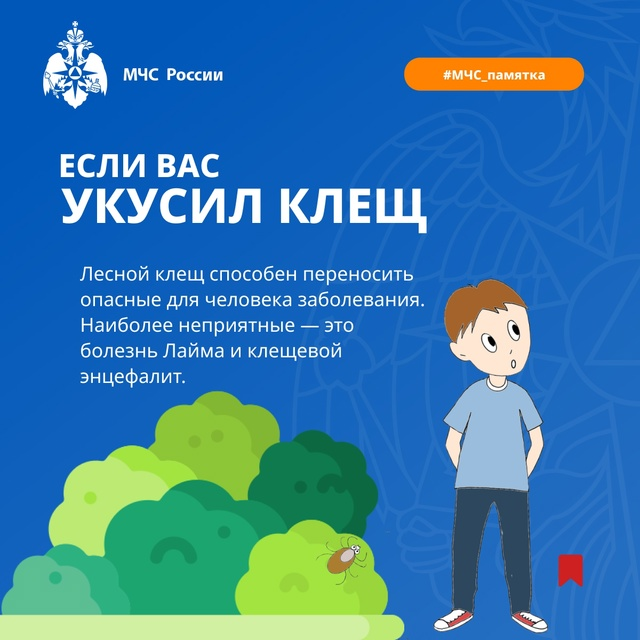 Укусил клещ — действуй правильно